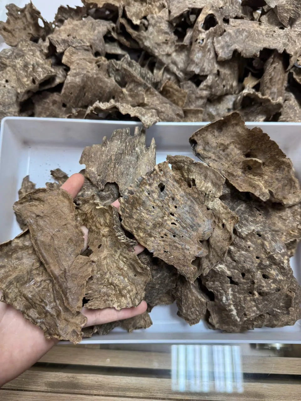 Premium Char Oud – Cultivated Agarwood Chips (High Oil Content for Incense &amp; Meditation)